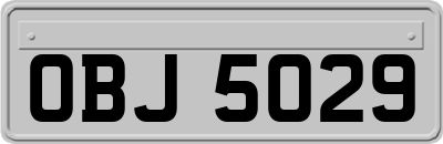 OBJ5029