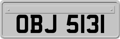 OBJ5131