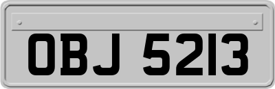 OBJ5213