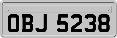 OBJ5238