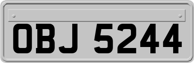 OBJ5244