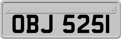 OBJ5251