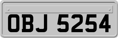 OBJ5254