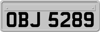 OBJ5289