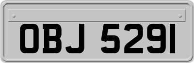 OBJ5291