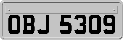 OBJ5309