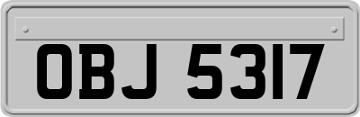 OBJ5317