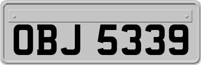 OBJ5339