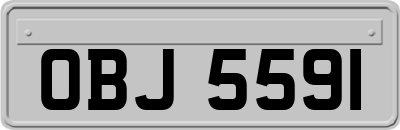 OBJ5591