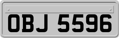 OBJ5596