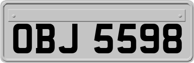 OBJ5598