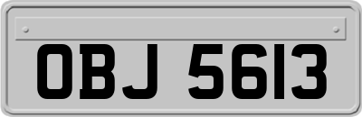 OBJ5613