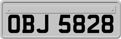 OBJ5828