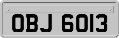 OBJ6013