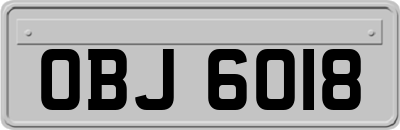 OBJ6018
