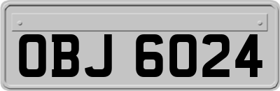 OBJ6024