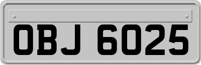 OBJ6025