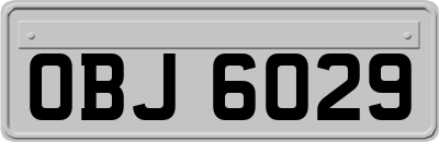 OBJ6029