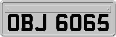 OBJ6065