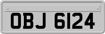 OBJ6124