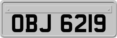OBJ6219