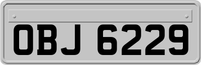 OBJ6229