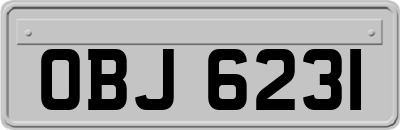 OBJ6231
