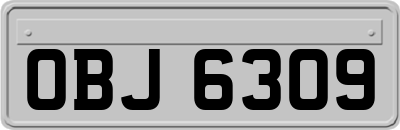 OBJ6309