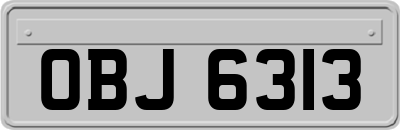 OBJ6313