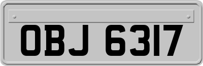 OBJ6317