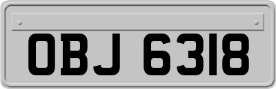 OBJ6318
