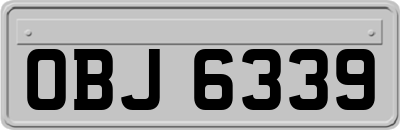 OBJ6339