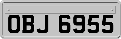 OBJ6955