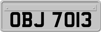 OBJ7013