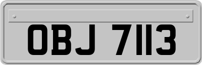 OBJ7113