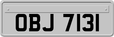 OBJ7131