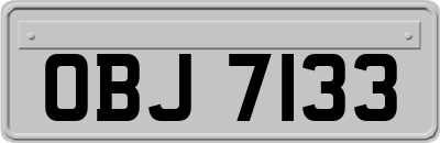 OBJ7133