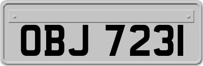 OBJ7231