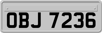 OBJ7236