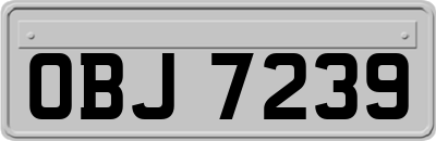 OBJ7239