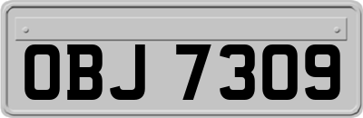 OBJ7309