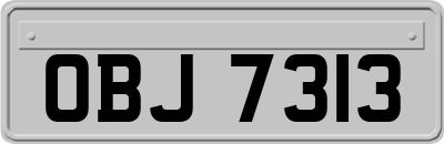OBJ7313