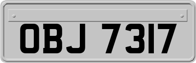 OBJ7317