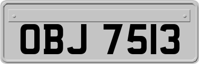 OBJ7513