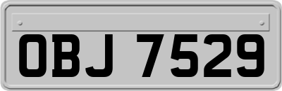 OBJ7529