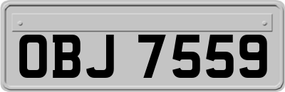 OBJ7559