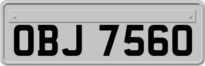 OBJ7560