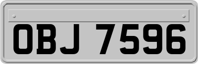 OBJ7596