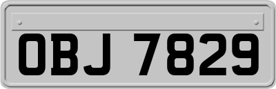 OBJ7829