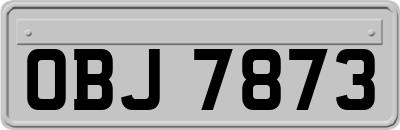 OBJ7873